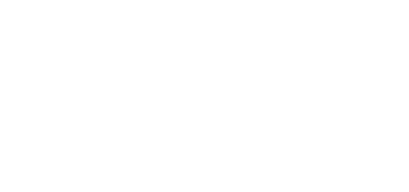 The Net
